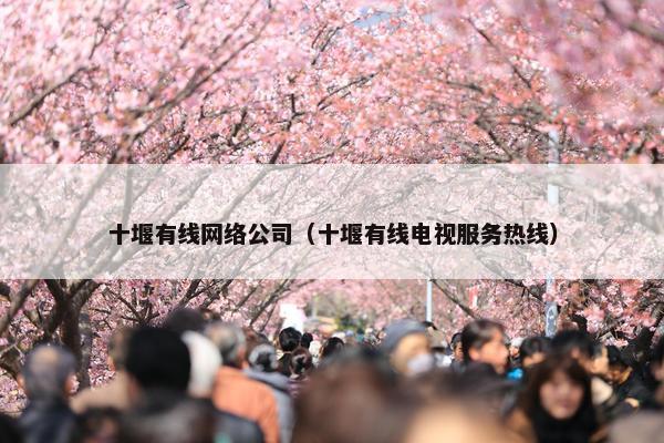 十堰有线网络公司（十堰有线电视服务热线）