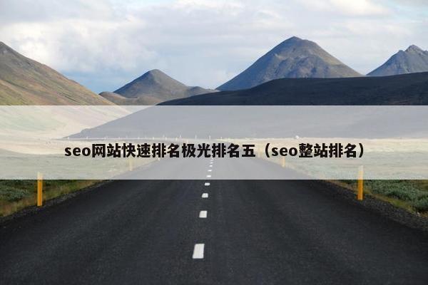 seo网站快速排名极光排名五（seo整站排名）