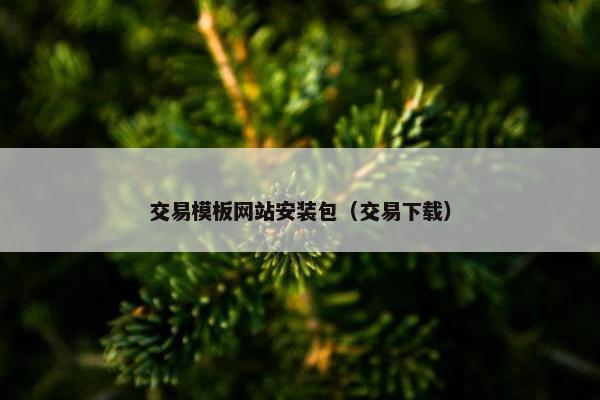 交易模板网站安装包（交易下载）
