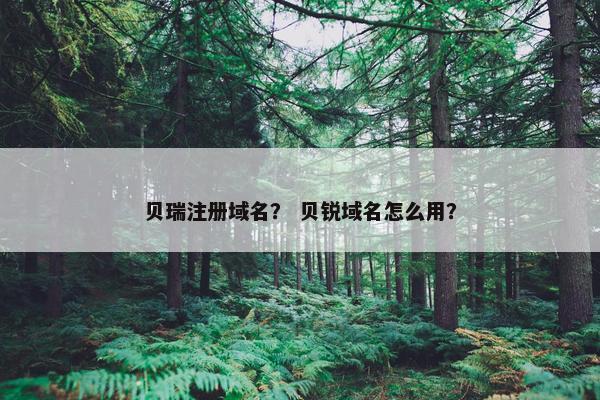贝瑞注册域名？ 贝锐域名怎么用？
