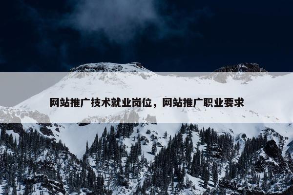 网站推广技术就业岗位，网站推广职业要求