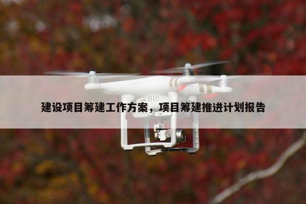 建设项目筹建工作方案，项目筹建推进计划报告