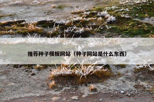 推荐种子模板网站（种子网站是什么东西）