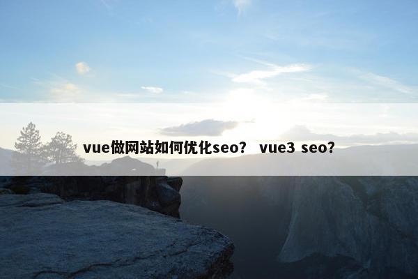 vue做网站如何优化seo？ vue3 seo？