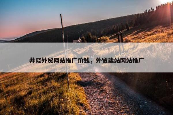 井陉外贸网站推广价钱，外贸建站网站推广