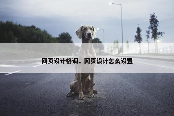 网页设计格调，网页设计怎么设置
