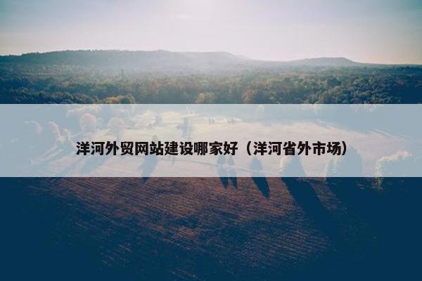 洋河外贸网站建设哪家好（洋河省外市场）
