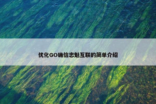 优化GO确信忠魁互联的简单介绍