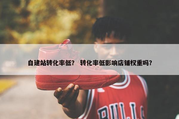 自建站转化率低？ 转化率低影响店铺权重吗？