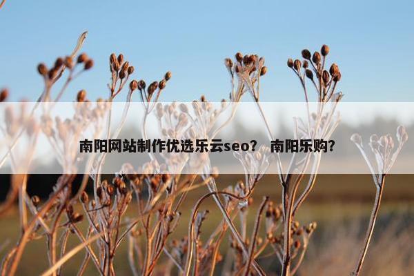南阳网站制作优选乐云seo？ 南阳乐购？