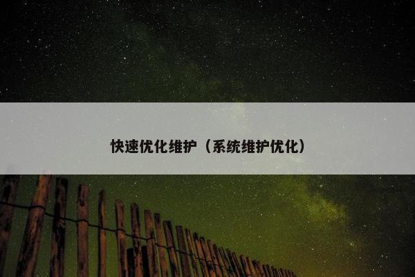 快速优化维护（系统维护优化）