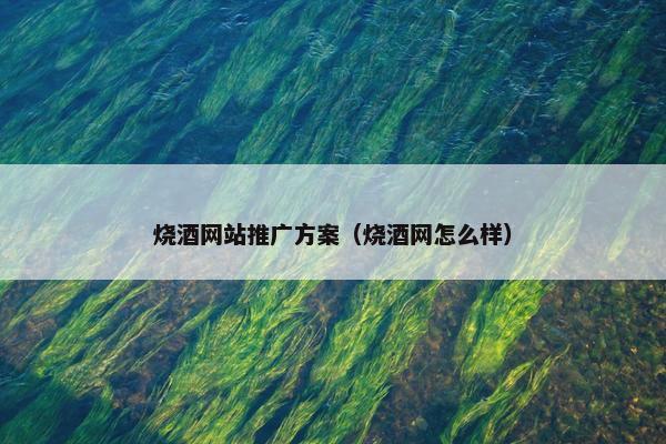 烧酒网站推广方案（烧酒网怎么样）