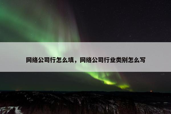 网络公司行怎么填，网络公司行业类别怎么写