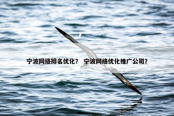 宁波网络排名优化？ 宁波网络优化推广公司？
