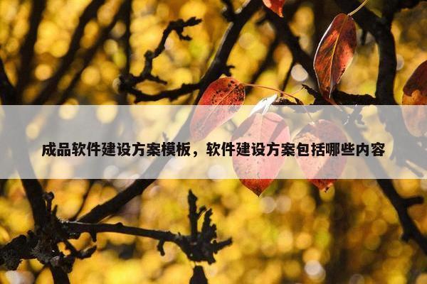 成品软件建设方案模板，软件建设方案包括哪些内容