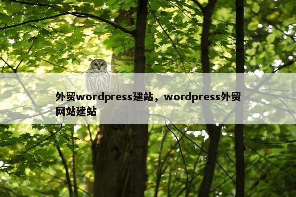 外贸wordpress建站，wordpress外贸网站建站