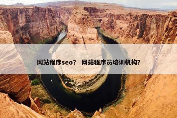 网站程序seo？ 网站程序员培训机构？