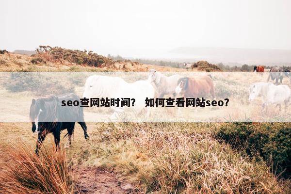 seo查网站时间？ 如何查看网站seo？