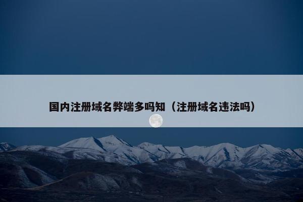 国内注册域名弊端多吗知（注册域名违法吗）