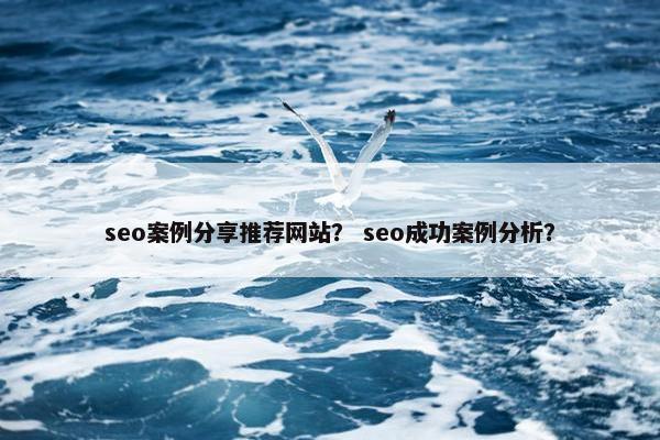 seo案例分享推荐网站？ seo成功案例分析？