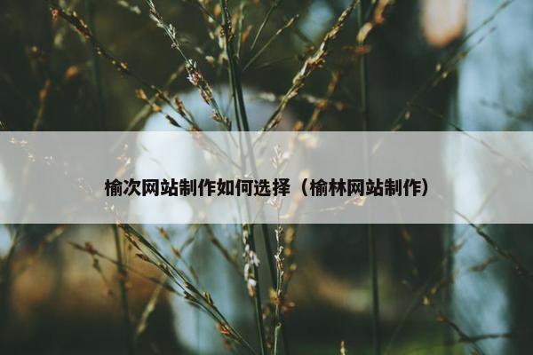 榆次网站制作如何选择（榆林网站制作）