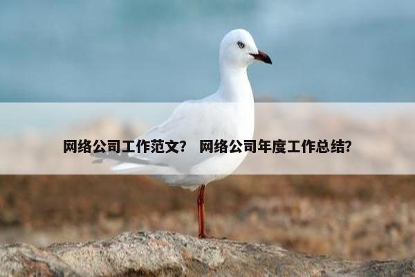 网络公司工作范文？ 网络公司年度工作总结？