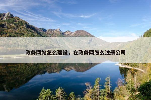 政务网站怎么建设，在政务网怎么注册公司