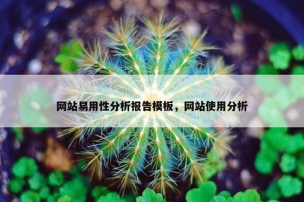 网站易用性分析报告模板，网站使用分析