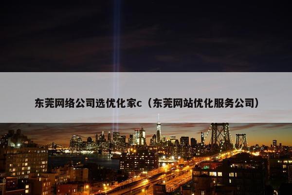 东莞网络公司选优化家c（东莞网站优化服务公司）