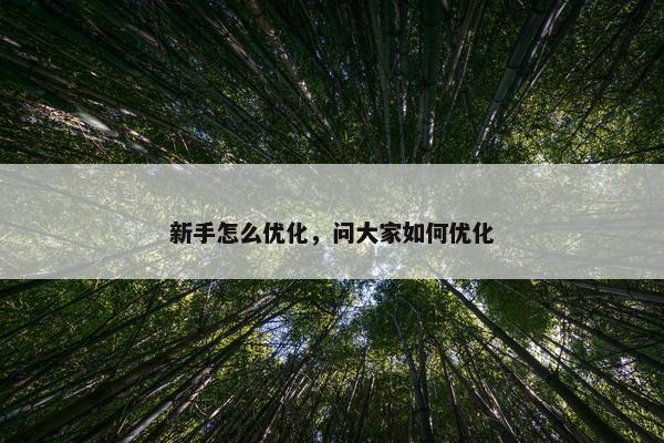 新手怎么优化，问大家如何优化