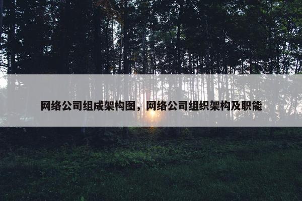 网络公司组成架构图，网络公司组织架构及职能