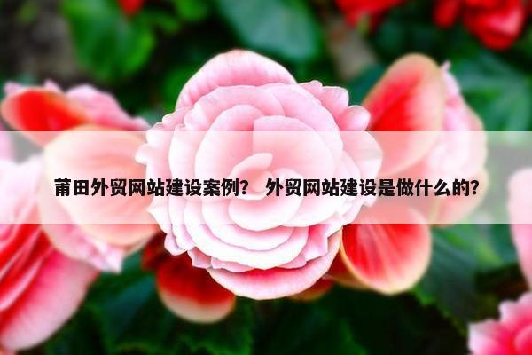 莆田外贸网站建设案例？ 外贸网站建设是做什么的？