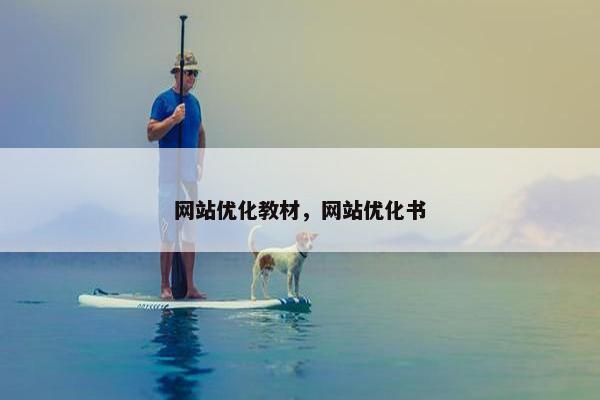 网站优化教材，网站优化书