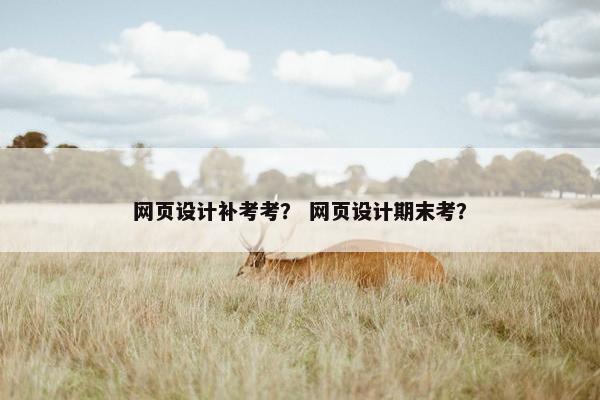 网页设计补考考？ 网页设计期末考？