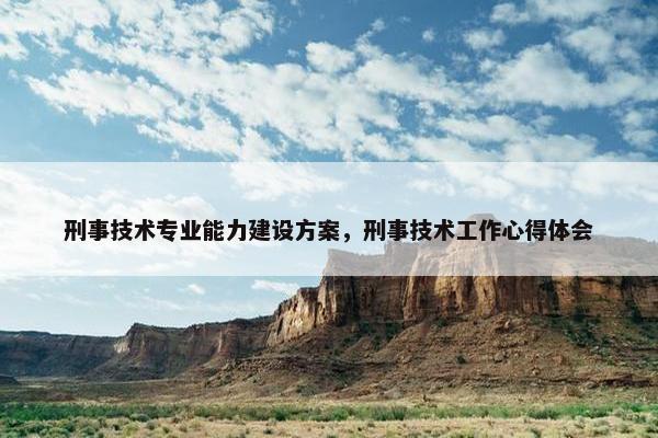 刑事技术专业能力建设方案，刑事技术工作心得体会