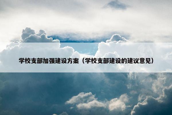 学校支部加强建设方案（学校支部建设的建议意见）