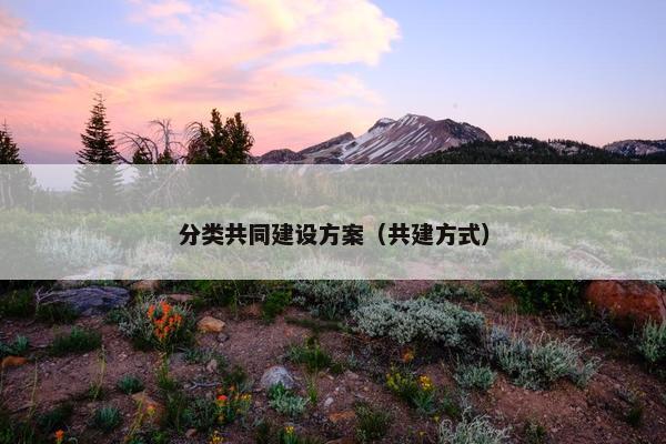 分类共同建设方案（共建方式）