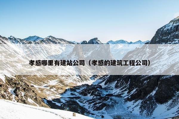 孝感哪里有建站公司（孝感的建筑工程公司）