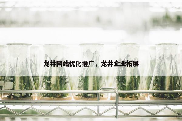 龙井网站优化推广，龙井企业拓展