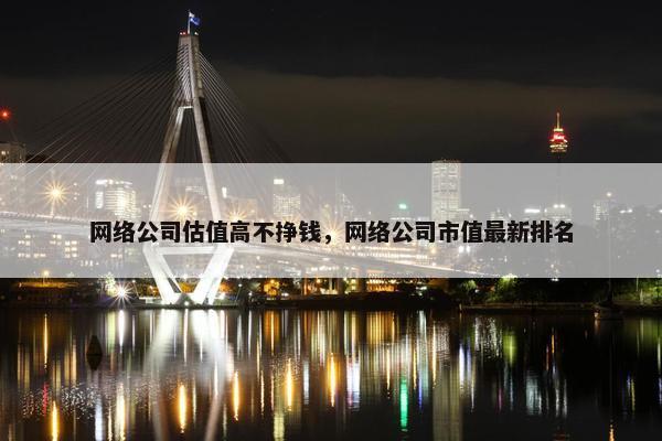 网络公司估值高不挣钱，网络公司市值最新排名