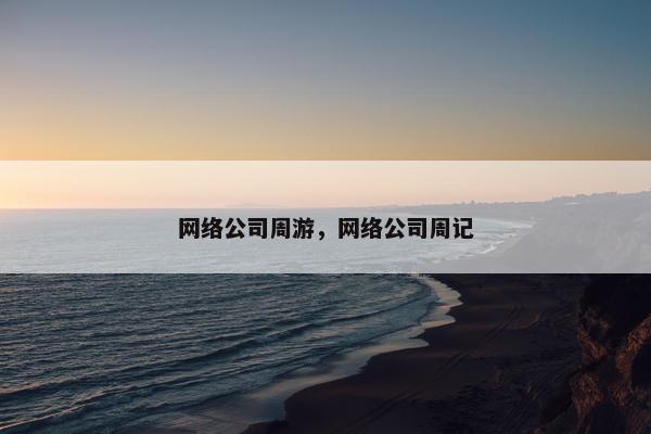 网络公司周游，网络公司周记