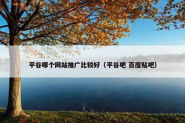 平谷哪个网站推广比较好（平谷吧 百度贴吧）