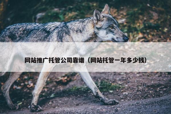 网站推广托管公司靠谱（网站托管一年多少钱）