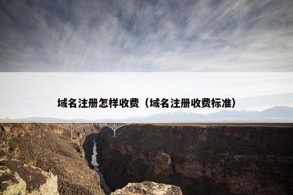 域名注册怎样收费（域名注册收费标准）