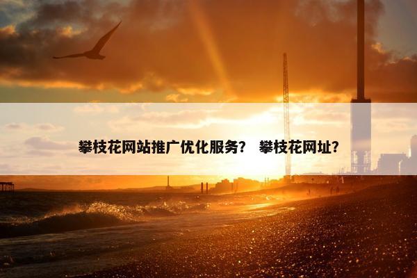 攀枝花网站推广优化服务？ 攀枝花网址？