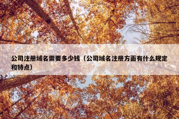 公司注册域名需要多少钱（公司域名注册方面有什么规定和特点）