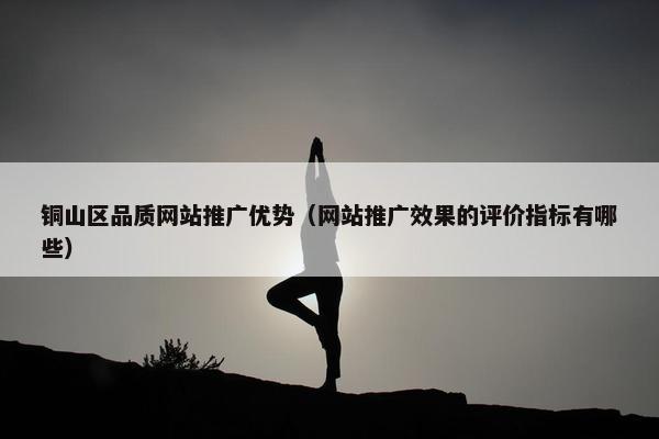 铜山区品质网站推广优势（网站推广效果的评价指标有哪些）