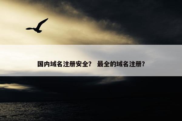 国内域名注册安全？ 最全的域名注册？