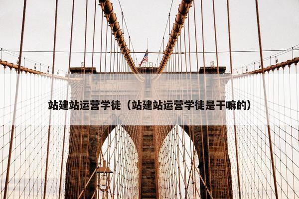 站建站运营学徒（站建站运营学徒是干嘛的）