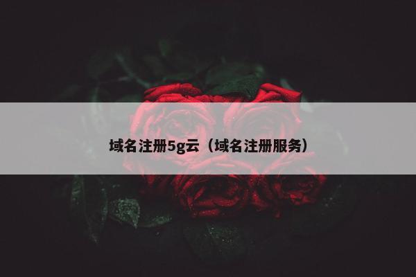 域名注册5g云（域名注册服务）